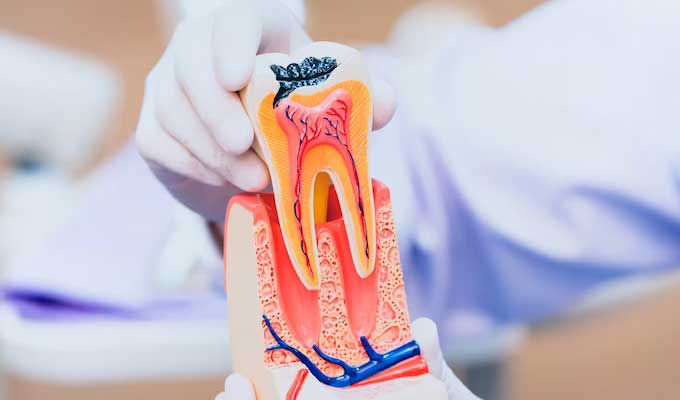 Shine and Smile Dental Clinic 3