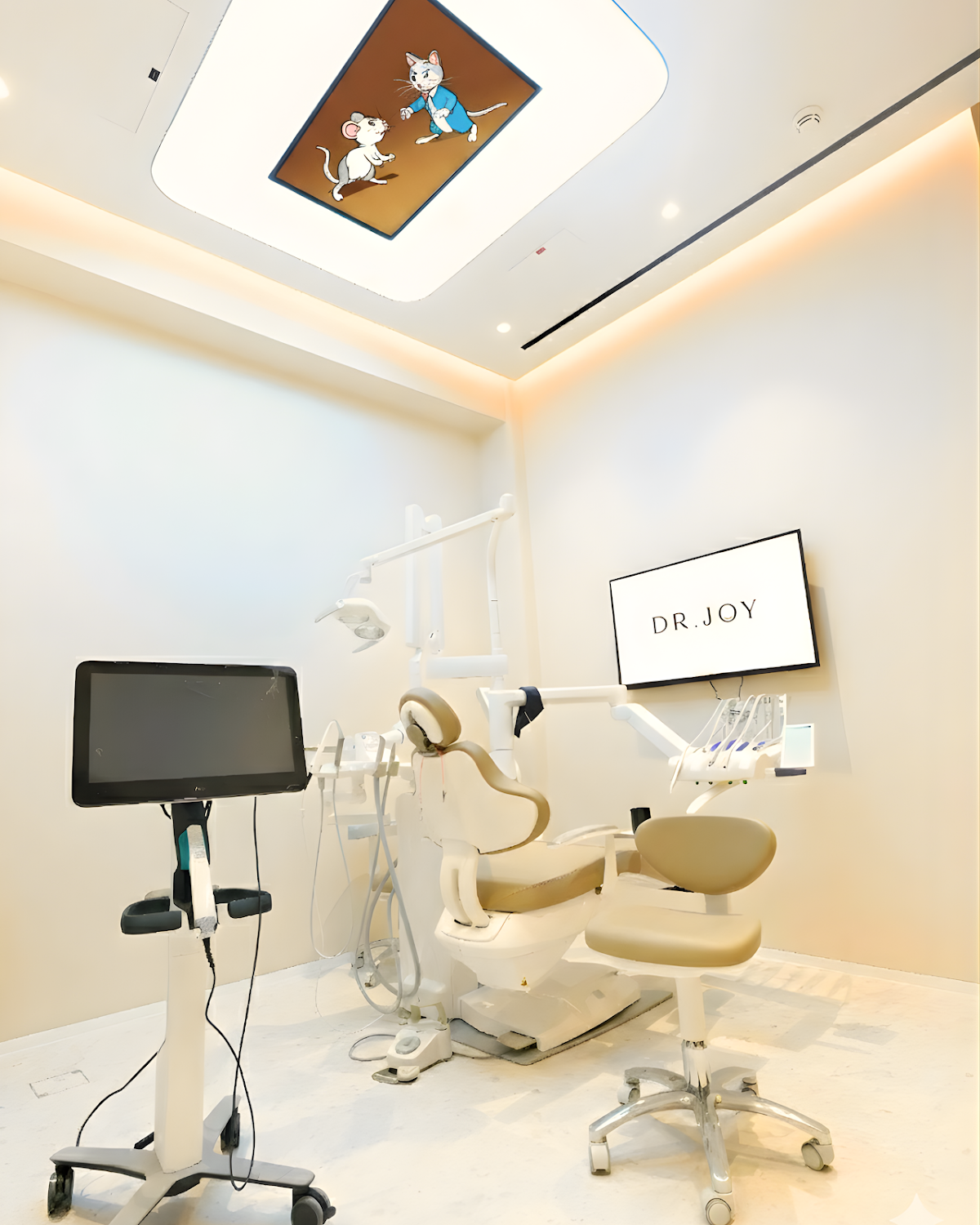 Dr Joy Dental Clinic, Jumeirah Park 4