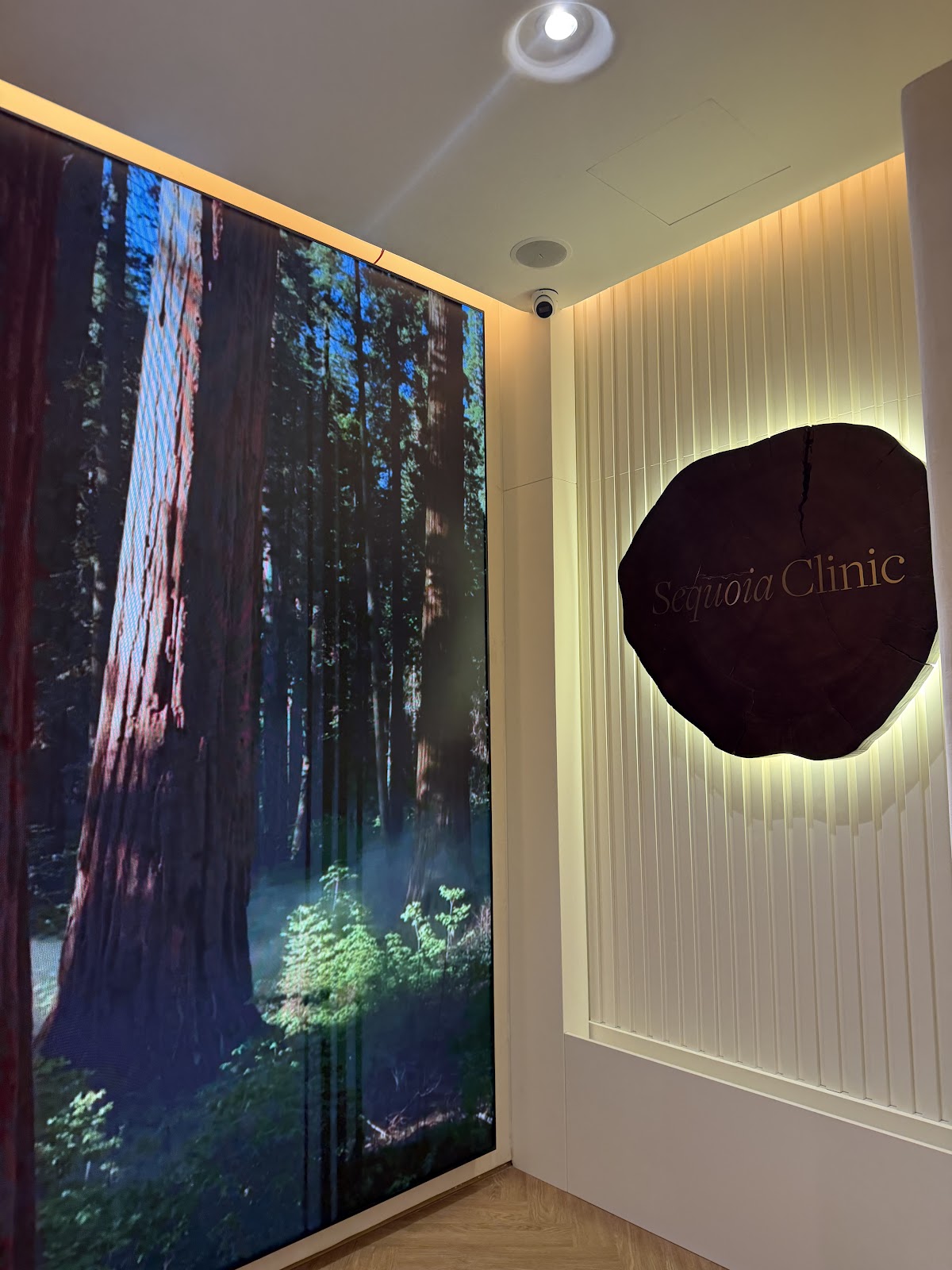 Sequoia Clinic 5