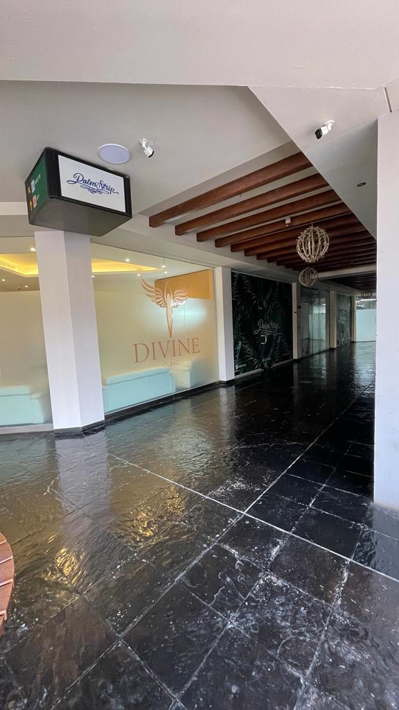 Divine Clinic 5
