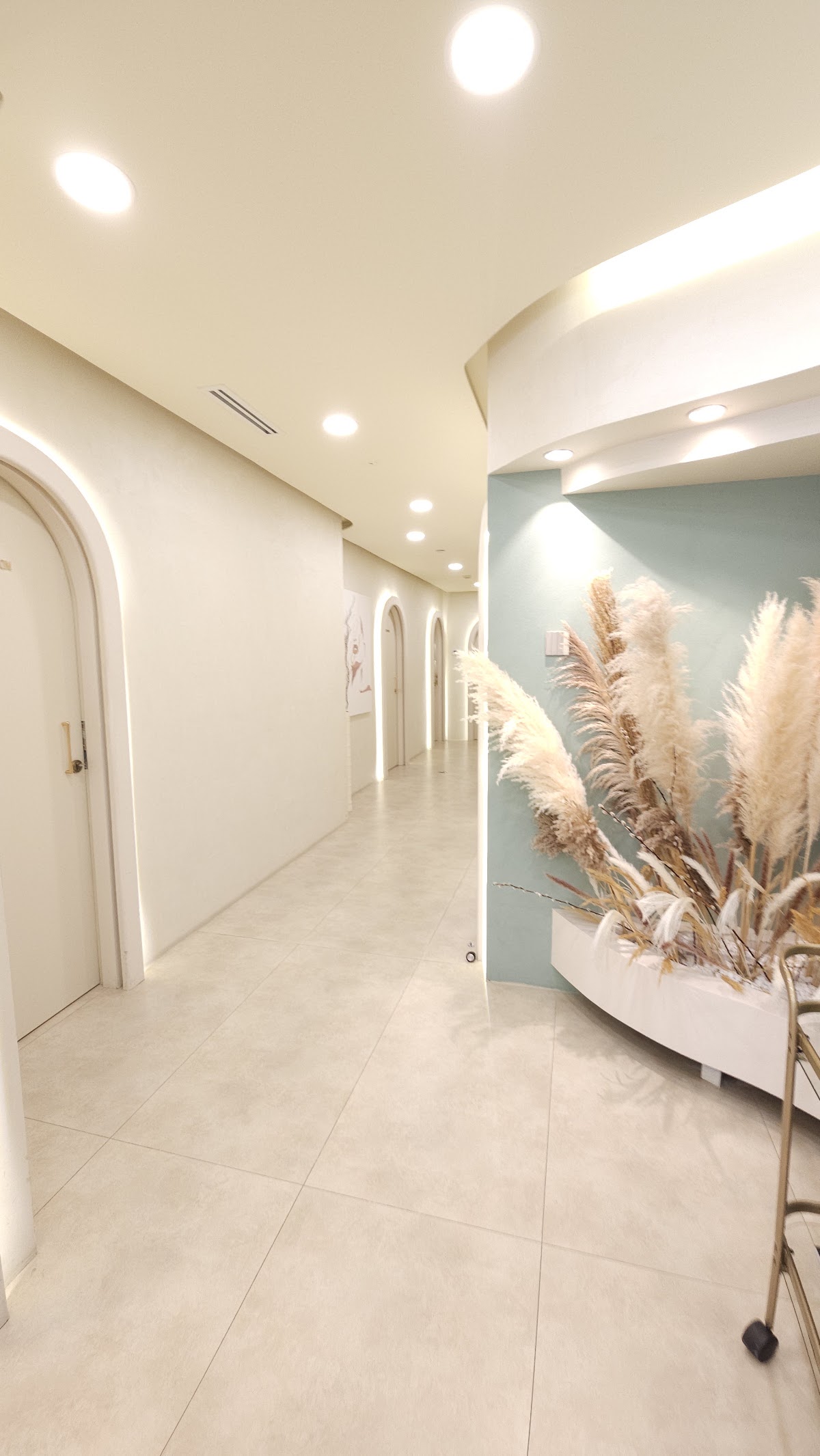 Salus Clinic 3