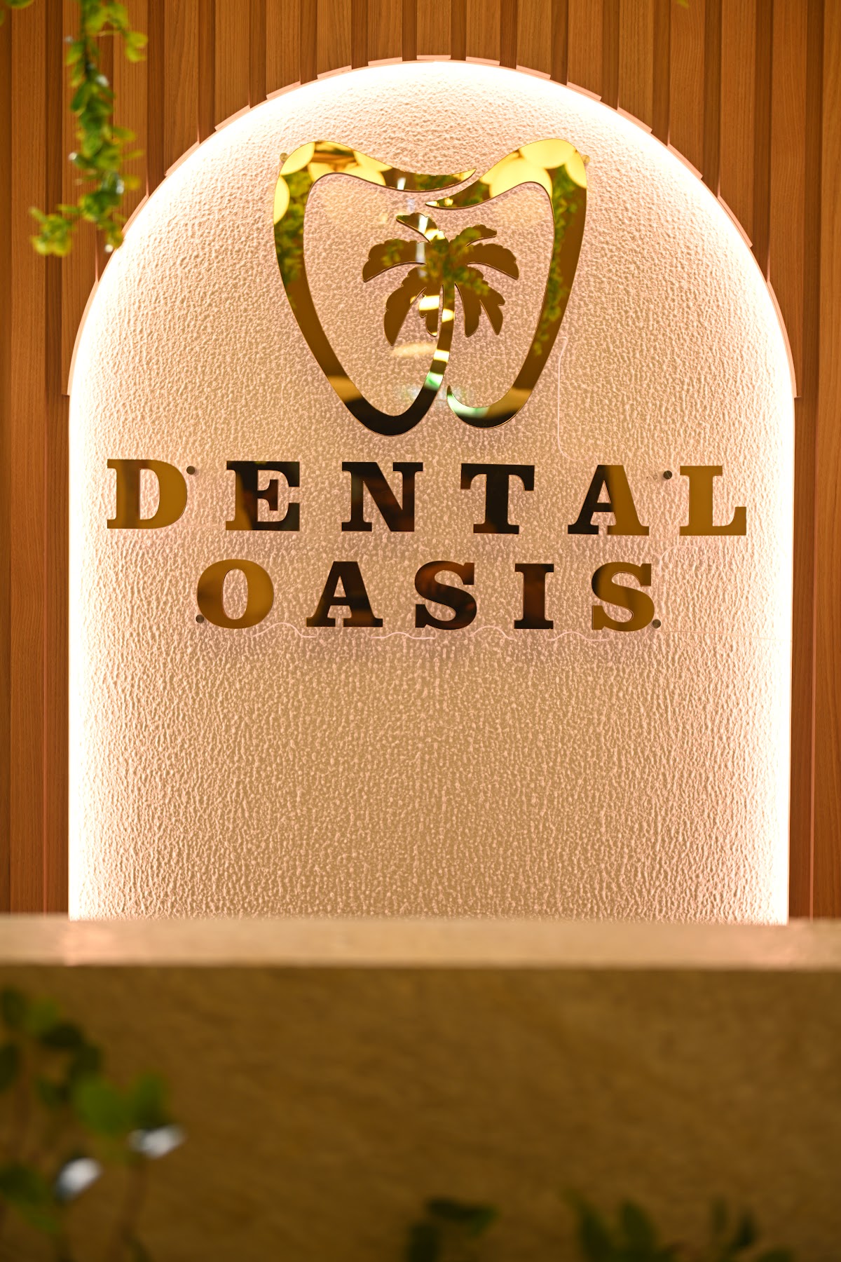 Dental Oasis 4