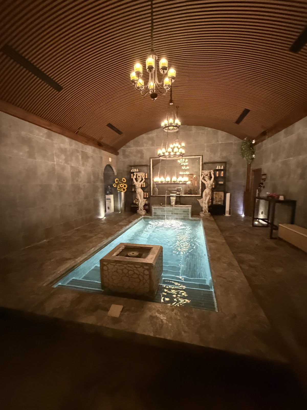 Taj Wellness 4