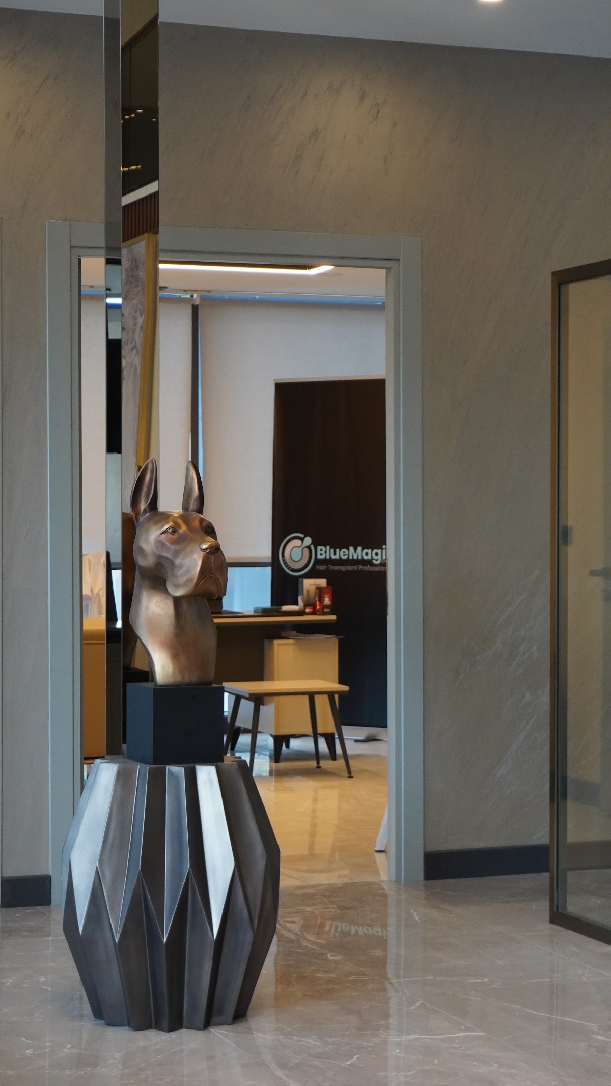 BlueMagic Group Clinic | Hair Transplant & Dental Experts in Dubai 2
