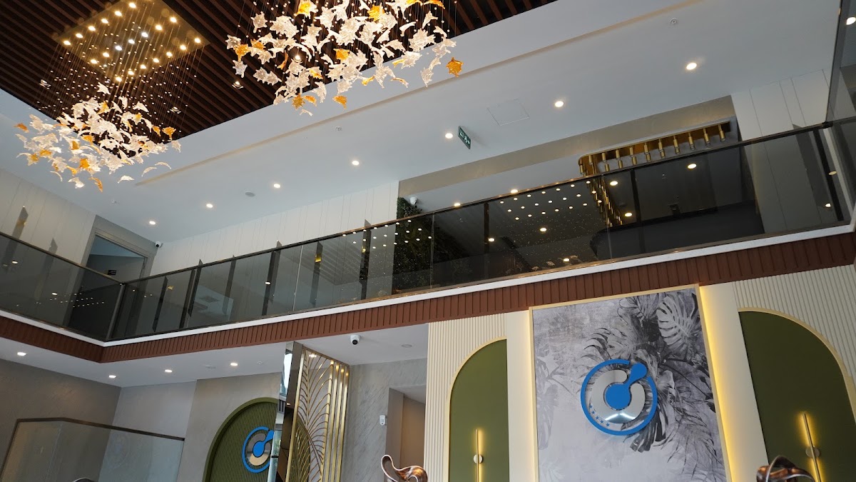 BlueMagic Group Clinic | Hair Transplant & Dental Experts in Dubai 3